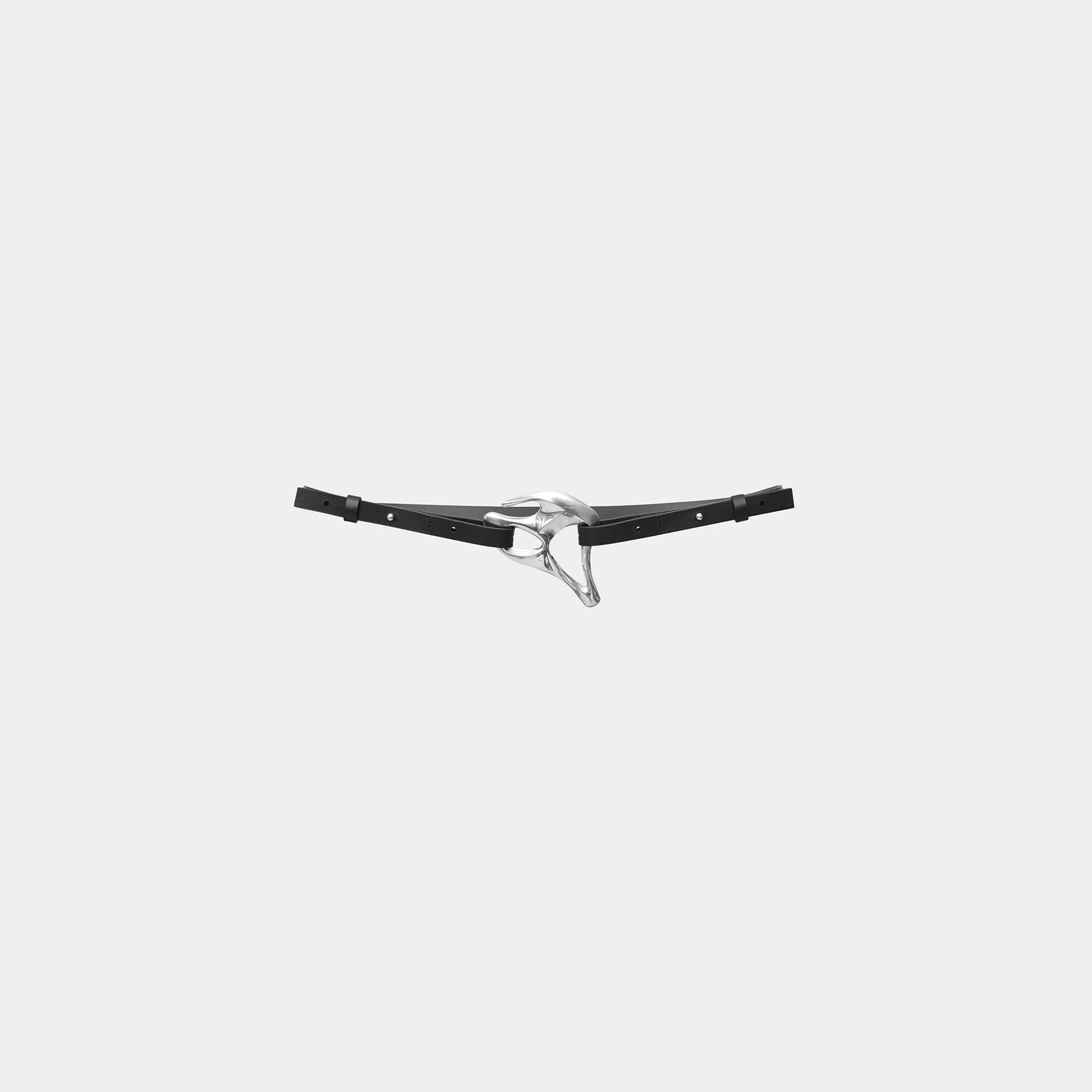 ENDEMYC BELT